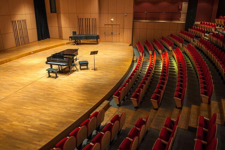 Auditorium <br>du CRR de Paris — A portrait of Michel Petrossian · International Music Festival