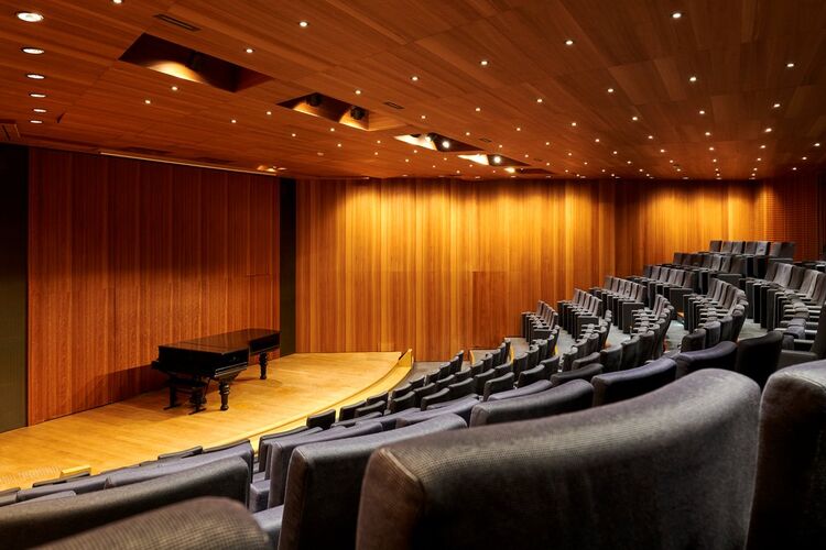 Auditorium <br>du Petit Palais — A portrait of Michel Petrossian · International Music Festival