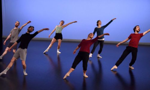 Compagnie Hallet-Eghayan ·  · A portrait of Michel Petrossian · International Music Festival